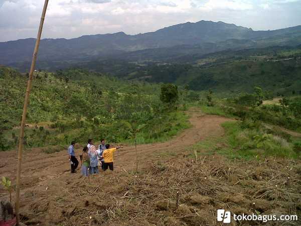 KAVLING GARDENIA PUNCAK 2 SENTUL BOGOR