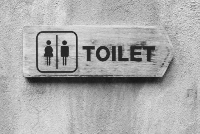 Nenek Moyangnya Toilet gan! masuk!