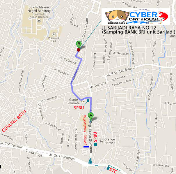 ♛ BAKSOS VAKSIN KUCING BANDUNG! MARI2 DATANG! BANYAK MPUS KUMPUL LHO!