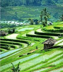 7 Kelebihan Indonesia yang Mengungguli Negara Maju