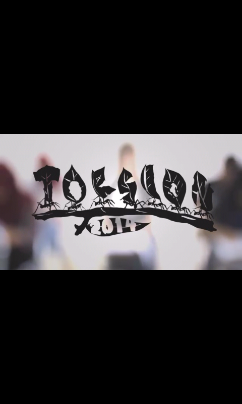 BEM FTUI TORSION 2014
