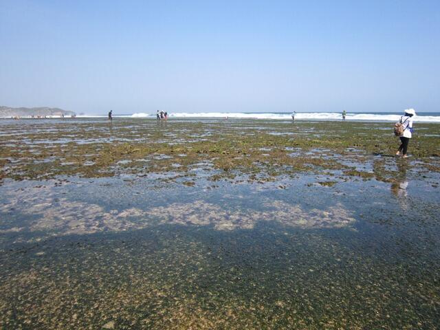 Pantai Sepanjang Yogyakarta, Pantai Dengan Eksotisme Yang Terhampar Luas