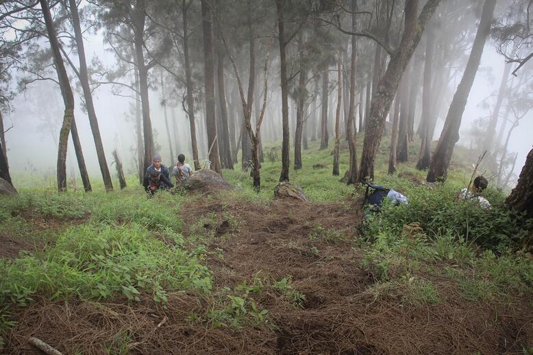 &#91;CATPER&#93; Gn. Arjuno &amp; Welirang (via Purwosari - Tretes) 28 Maret - 1 April 2014