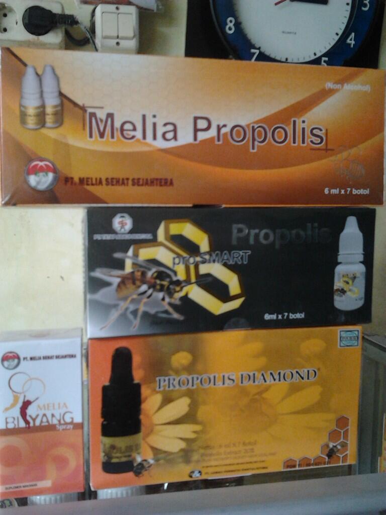  Macam  Macam  Propolis Dan  Harganya  Mari Hidup Sehat