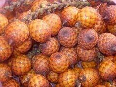 17 Buah-buahan Indonesia Yang Enak &amp; Langka