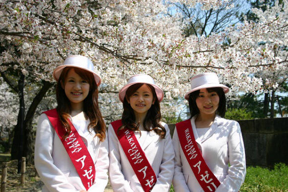 Inilah Pekerjaan Paruh Waktu dengan Bayaran Terbaik (dan Terburuk) di Jepang