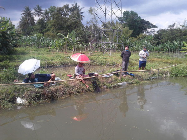 FR Minigath Cingreng Borong Kolam KFR. REG JOGJA