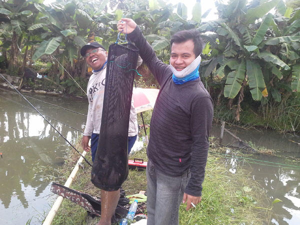 FR Minigath Cingreng Borong Kolam KFR. REG JOGJA