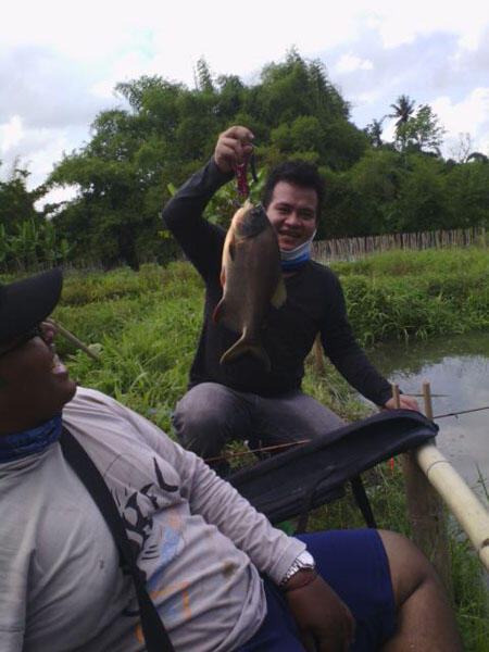 FR Minigath Cingreng Borong Kolam KFR. REG JOGJA