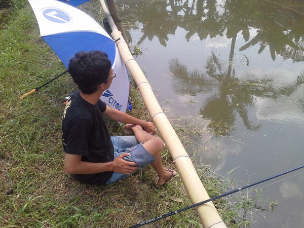 FR Minigath Cingreng Borong Kolam KFR. REG JOGJA