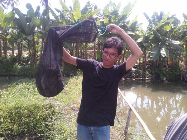 FR Minigath Cingreng Borong Kolam KFR. REG JOGJA