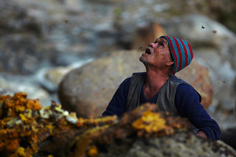 Berburu Mencari Madu dengan bertaruh nyawa ! (Tradisi kuno dari Nepal )
