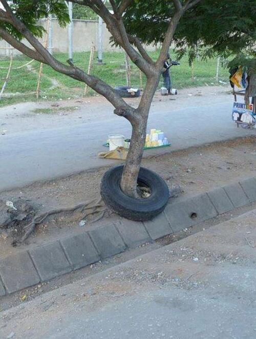 Pohon dan Ban,Logika berjalan (pict++))
