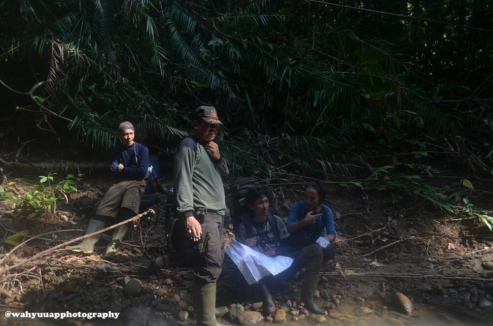 8 Hari Menjelajah Hutan Taman Nasional Bukit Barisan Selatan