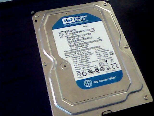 HARDISK INTERNAL MURAH