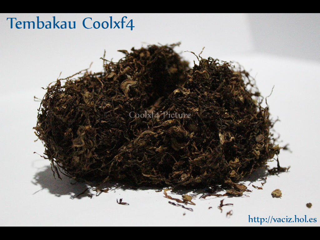 Terjual Tembakau Rokok, Sampoerna Mild, Samsoe, Djarum