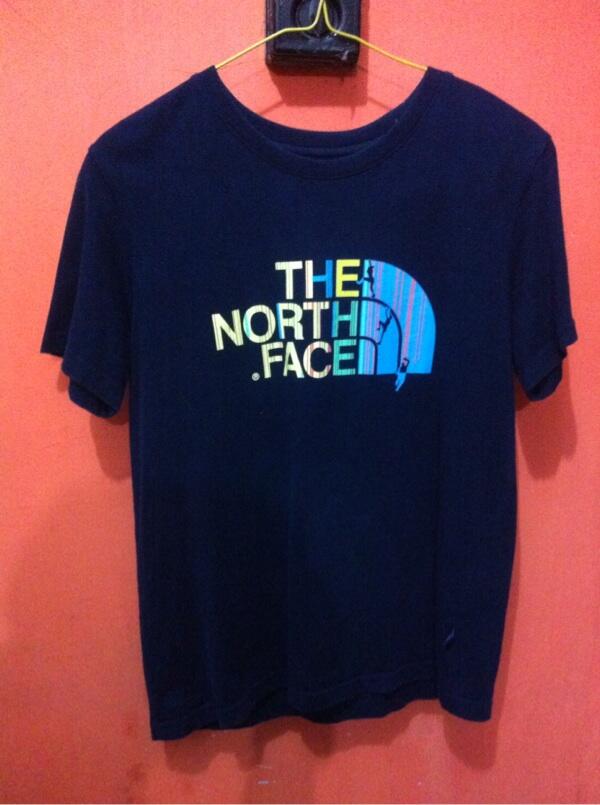 the south west t shirt north face