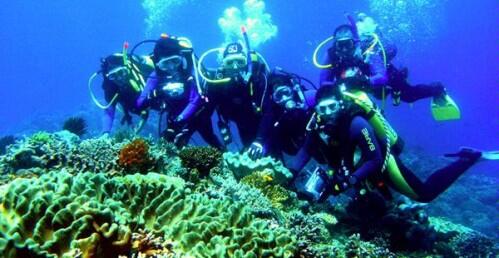 yuk mengenal teknik teknik olahraga diving