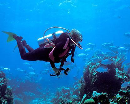 yuk mengenal teknik teknik olahraga diving