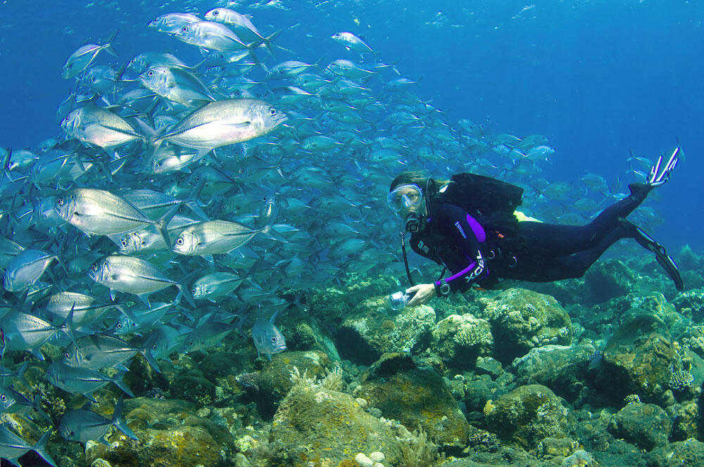 yuk mengenal teknik teknik olahraga diving