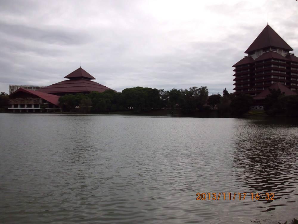 Ikan Sepat Berkumpul di Kampus UI