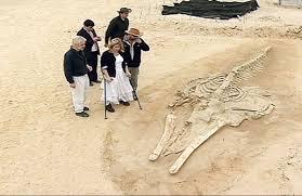 'Kuburan' Ikan Paus di Gurun Atacama, Chile