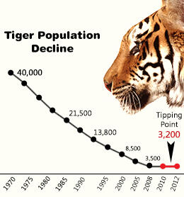 Save the Tiger !!!!