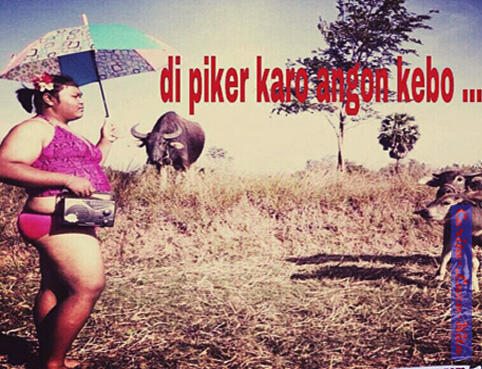 || Kumpulan Gambar Gokil Obat Galau ||