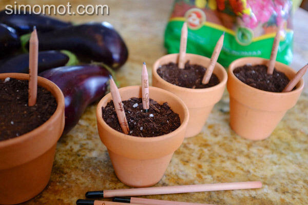 Pensil ini bisa ditanam dan tumbuh menjadi tanaman (GO GREEN)