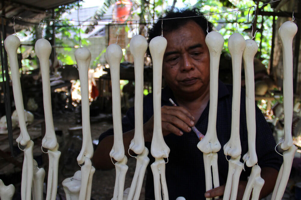 Manekin Anatomi tubuh manusia, Ternyata Made in Depok gan !
