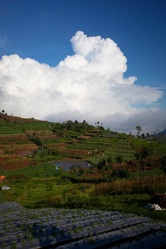 &#91;CATPER+FOTO&#93; Menikmati Sunrise Gunung Prau 2565 mdpl