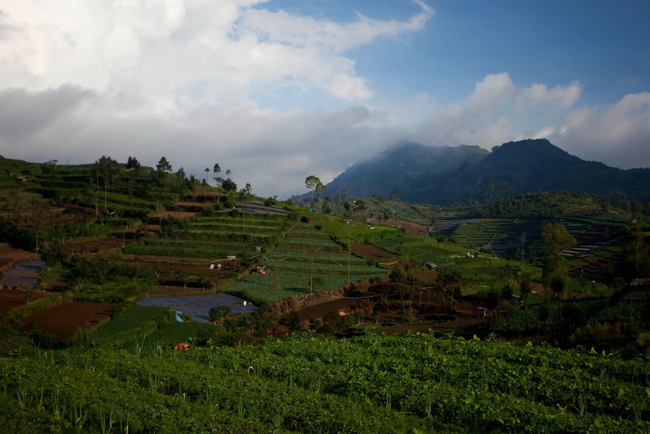 &#91;CATPER+FOTO&#93; Menikmati Sunrise Gunung Prau 2565 mdpl 