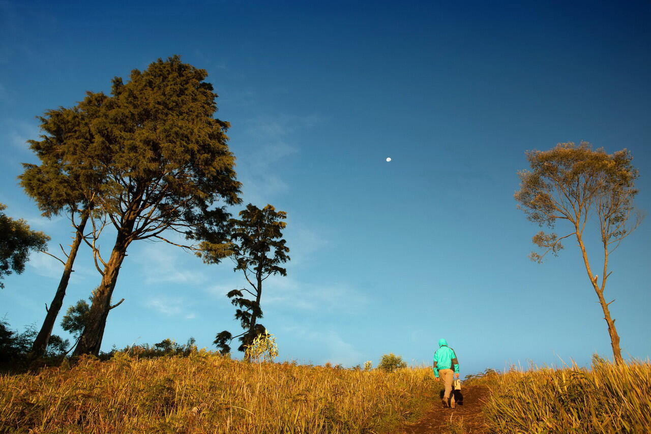 &#91;CATPER+FOTO&#93; Menikmati Sunrise Gunung Prau 2565 mdpl 