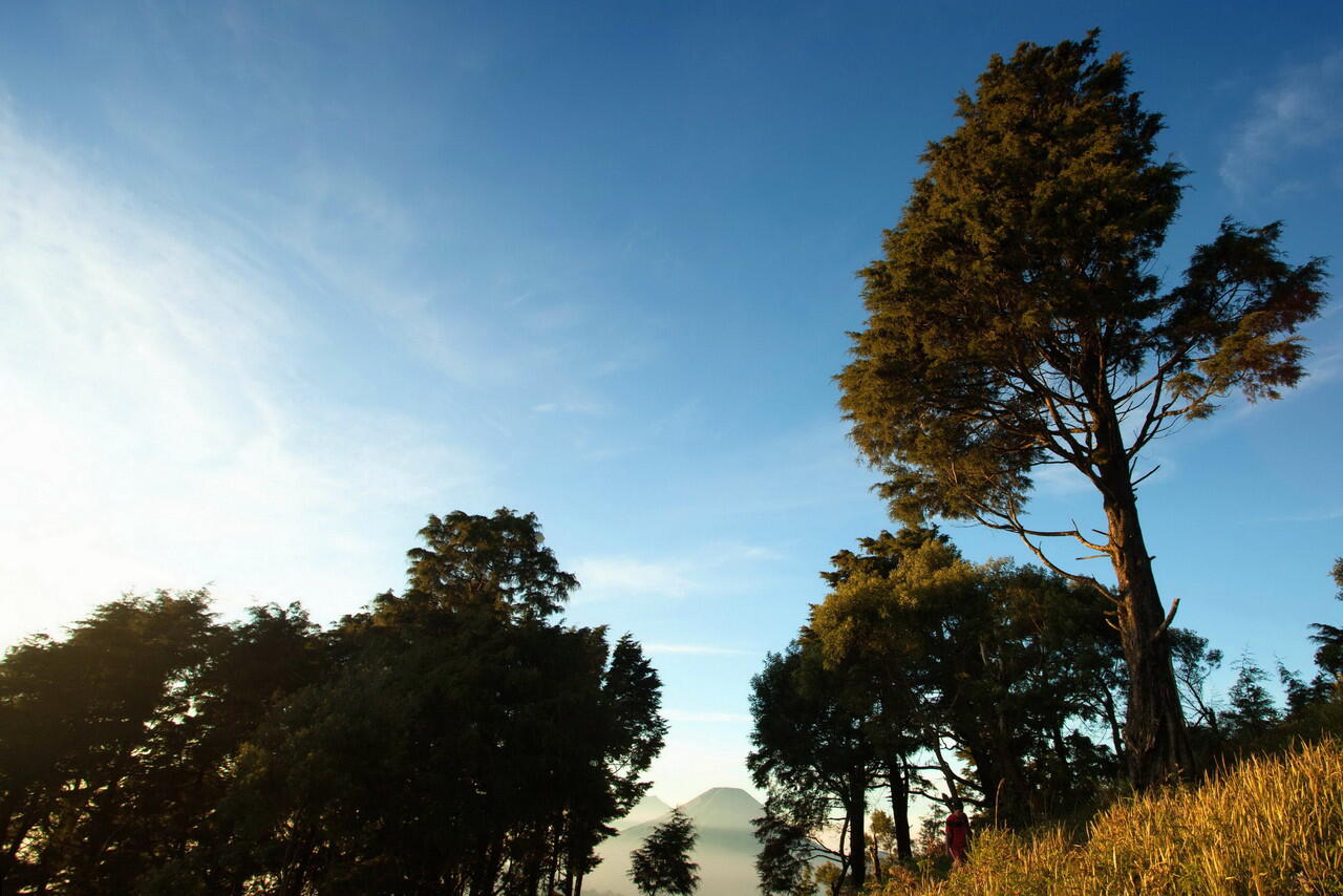 &#91;CATPER+FOTO&#93; Menikmati Sunrise Gunung Prau 2565 mdpl 