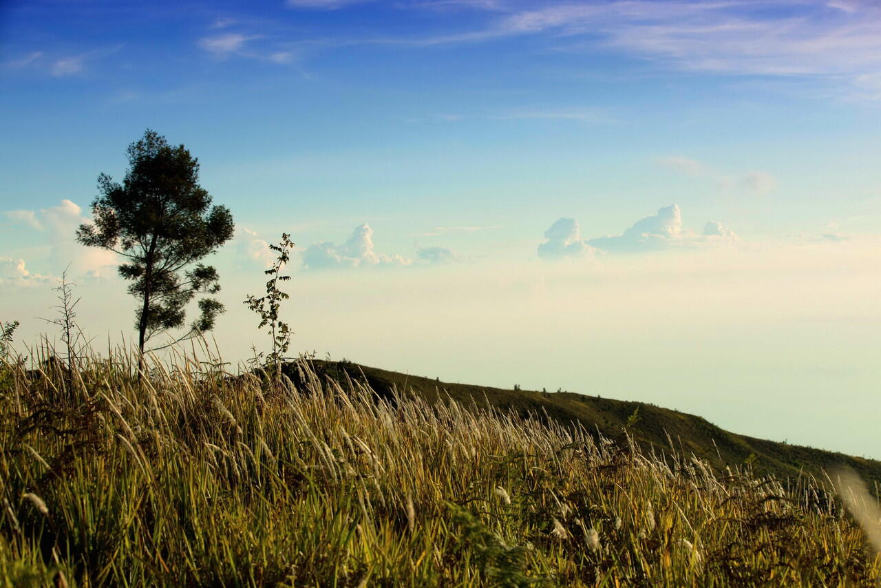 &#91;CATPER+FOTO&#93; Menikmati Sunrise Gunung Prau 2565 mdpl 