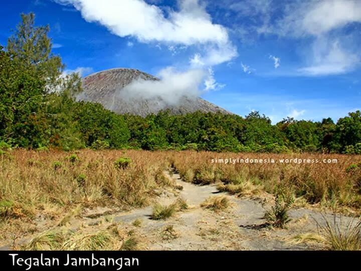 Indahnya Serba Serbi Gunung Semeru di INDONESIA