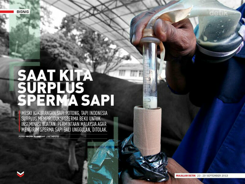 Indonesia Ekpor Sperma Sapi, Tapi Daging impor !!!