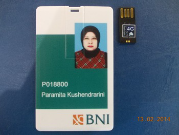 pusat souvenir flashdisk unik kartu & rubber free design murah