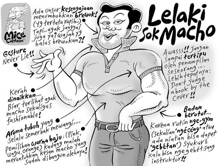 Sok Ma'cho