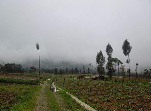 Estafet Hiking Sumbing Sindoro (11-13 Oktober 2013)