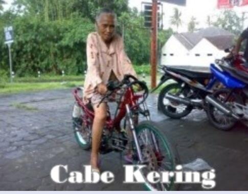 EVOLUSI CABE CABEAN