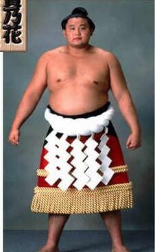 5 Master Sumo Terhebat Sepanjang Sejarah
