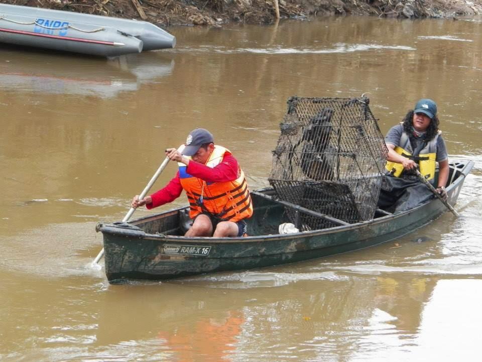 PAHLAWAN LOKAL &amp; ASING SUNGAI CILIWUNG 