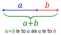Ciptaan ALLAH dan The Golden Ratio