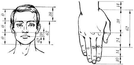 Ciptaan ALLAH dan The Golden Ratio