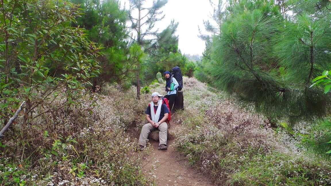 &#91;CATPER+FOTO&#93; Menapaki puncak tertinggi di jawa tengah, Gn.Slamet 3428 mdpl