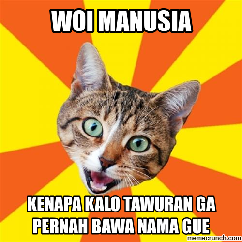 Beberapa Meme Kucing Yang Bisa Buat Agan Ngakak