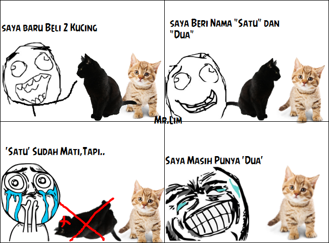 Beberapa Meme Kucing Yang Bisa Buat Agan Ngakak