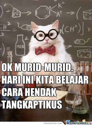 Beberapa Meme Kucing Yang Bisa Buat Agan Ngakak