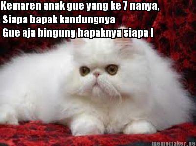 Beberapa Meme Kucing Yang Bisa Buat Agan Ngakak